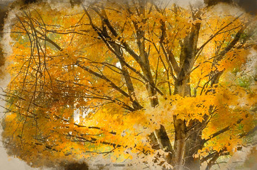 Digital watercolor painting of Beautiful Autumn Fall nature image landscape