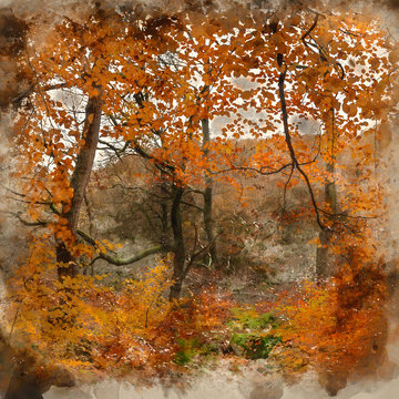 Digital watercolor painting of Beautiful colorful vibrant forest woodland Autumn Fall landscape in Peak District in England