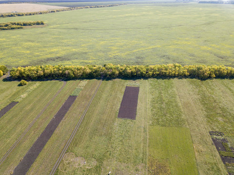 Aerial perspective view of the agricultural fields divided by vegetative barriers. Bird's-eye view of the grass fields and meadows separated by forest buffer stripes. Summer day. Penza region, Russia.