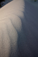 a wind texture in the sand 