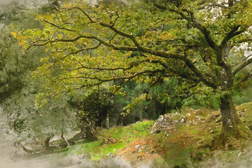 Digital watercolor painting of Landscape image of view from Precipice Walk in Snowdonia