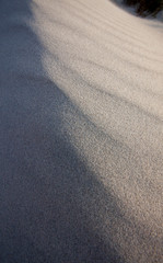 texture of sand