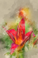Digital watercolor painting of vibrant red lily flower