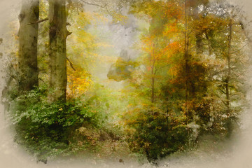 Digital watercolor painting of Stunning colorful vibrant evocative Autumn Fall foggy forest landscape