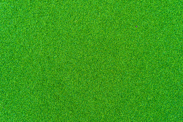 Abstract green grass texture and surface