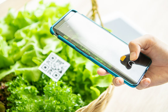 Customers Buy Organic Vegetables From Hydroponics Farm And Pay Using QR Code Scanning System Payment At Food Market Shop. Technology And Futuristic Business. E Wallet And Digital Cashless Concept
