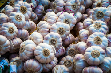 Fresh garlic for sale.