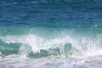Big beautiful wave in turquoise water