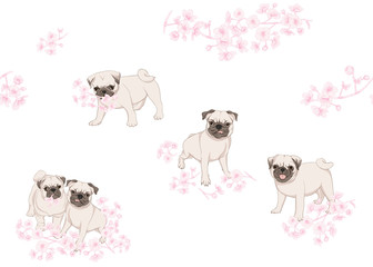pug sakura patt 1