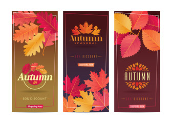 Autumn Seasonal Discount Card and Vector Web Banner