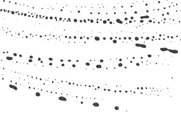 Grunge texture. Distress black grey rough trace. B