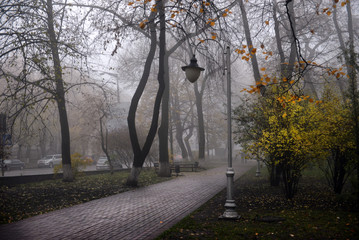 Autumn landscape- foggy autumn park alley with bare trees and dry fallen colorful leaves.