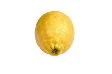 isolated lemon on white background.