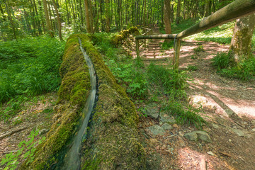 Steinerne Rinne bei Wolfsbronn im Naturpark Altmühltal