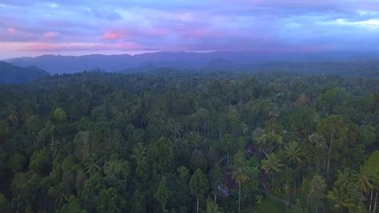 Aerial: Fly cam move  above tropical jungle forest at Java island island, Indonesia