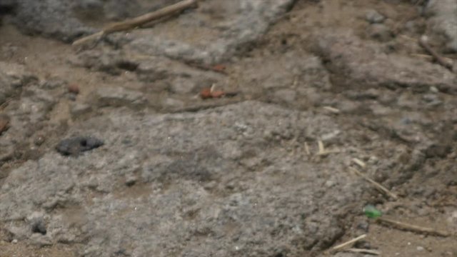 Pan shot of smashed ceramic plates on a cobblestone halley. It is typical of Sardinian wedding to smash plates after the couple leaves the church