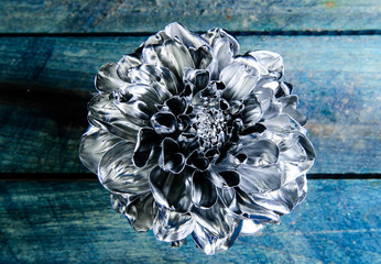 luxury and success. metallized antique decor. grunge beauty. wealth and richness. silver chrysanthemum flower on wood. floristics business. Vintage. Flower covered metallic paint close up