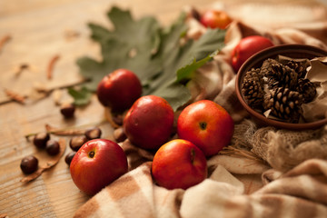 autumn composition of apples red maple leaves green plaid wooden table bumps on a clay plate locking warm light