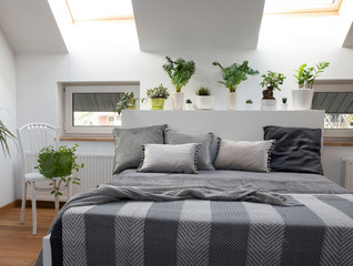 Scandinavian interior of bright bedroom with double bed in the attic apartment. Pillows and bedspread in white and grey colors. Plants as a decor of home.