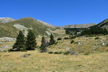 Naklejka premium Paysages vastes de montagne des pyrénées orientales pour panoramiques dans le vallespir estables