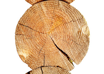 Wooden log end on a white background.