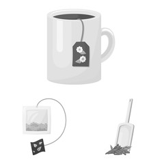 Vector design of green and black symbol. Set of green and organic stock vector illustration.