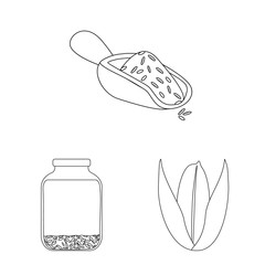 Vector illustration of diet and cooking logo. Set of diet and organic stock symbol for web.