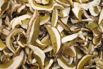 raccolta ed esposizione al mercato diffuso porcini e altri