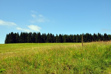 Rennsteig von Neuhaus nach Masserberg