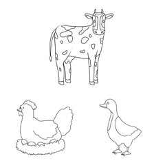 Vector illustration of homemade and countryside symbol. Set of homemade and agriculture stock symbol for web.