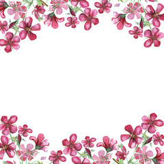 Watercolor frame with pink wildflowers.Watercolor meadow geranium. Illustration isolated on white background.