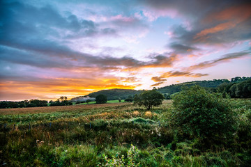 Fototapeta na wymiar Cors Caron National Nature Reserve near Tregaron in mid-Wales