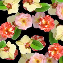 Beautiful floral background of orchids and roses. Isolated