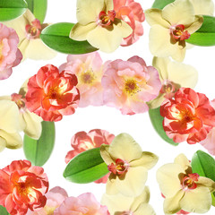 Fototapeta na wymiar Beautiful floral background of orchids and roses. Isolated