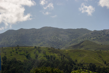 Fototapeta na wymiar Landscape of Asturias Spain Green nature