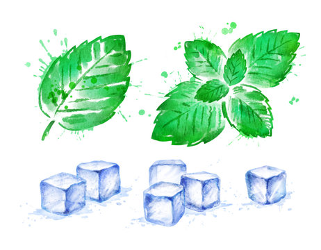 Watercolor set of Mint leaves and Ice Cubes