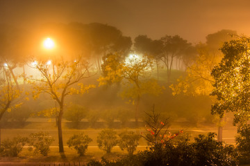 Foggie landscape of the Park Jose Antonio Labordeta