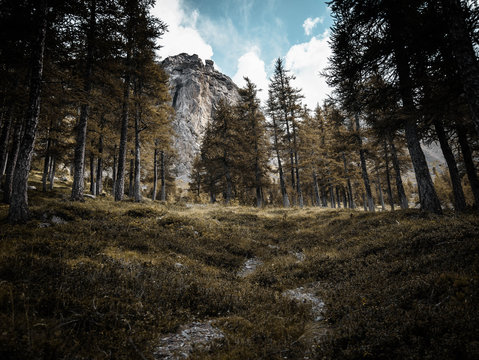 Alpe