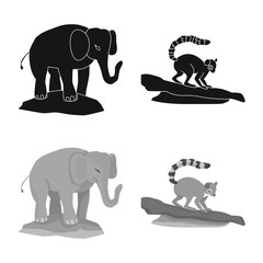 Isolated object of nature and fun symbol. Set of nature and entertainment stock vector illustration.