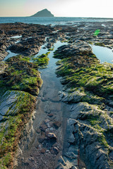 Rock pools on Wembury beach with the Mewstone in the background
