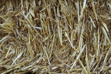 background of straw