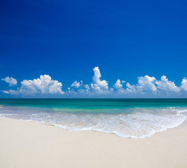 sand of beach caribbean sea