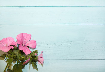 Fototapeta na wymiar pink flowers with green leaves blue wood background texture tree