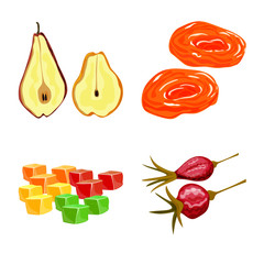 Vector illustration of fruit and dried sign. Collection of fruit and food vector icon for stock.