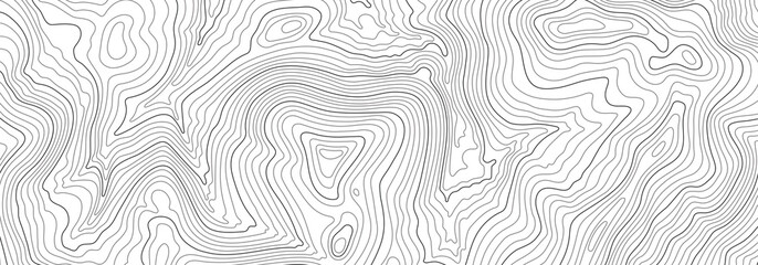 Fototapeta Light topographic line contour map background, stock vector illustration obraz