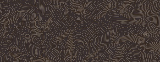 Background of topographic line contour map, black-white design of geographic grid map