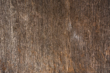 old wood background, vintage wood texture,Close up wood