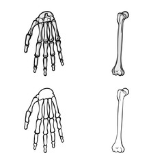 Vector illustration of medicine and clinic sign. Set of medicine and medical stock vector illustration.