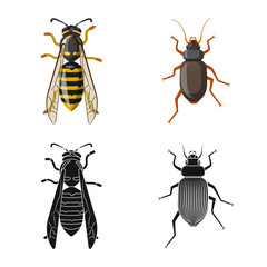 Isolated object of insect and fly icon. Set of insect and element stock vector illustration.