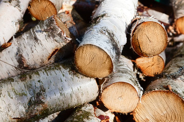 Lots of wood in the pile